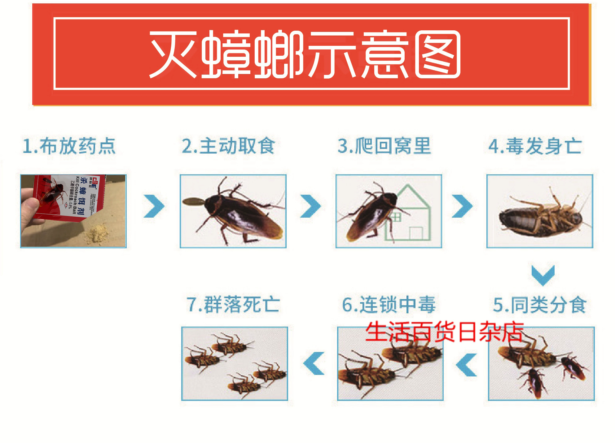 创固尔蟑螂一扫清蟑螂药粉灭蟑饵剂蟑螂屋蟑螂贴灭蟑清药家用包邮 - 图2