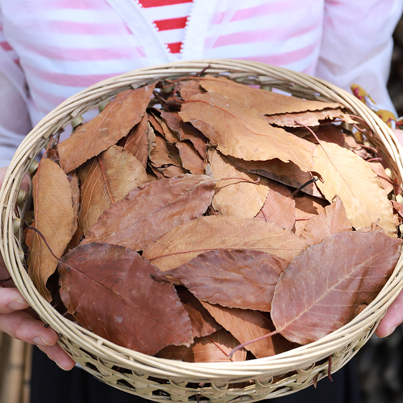 野采山楂叶500g广东凉茶无硫天然新鲜晒干山楂叶子茶