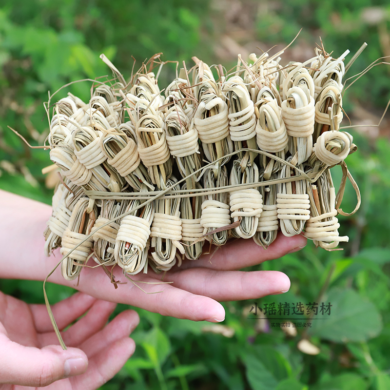 广东当季灯芯草干10排100个农家晒灯心草灯芯花新货龙须草赤须心 - 图0