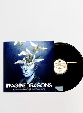 现代简约复古唱片装饰摆件