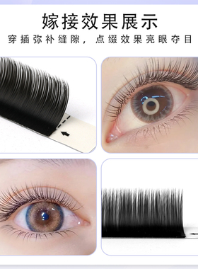单根扁毛焦糖色美睫店专用