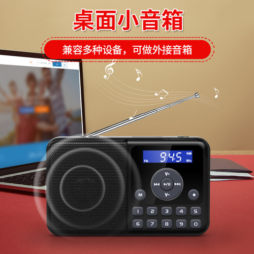 PANDA/熊猫DS-172迷你音响插卡小音箱便携式FM收音机老人播放器-图1