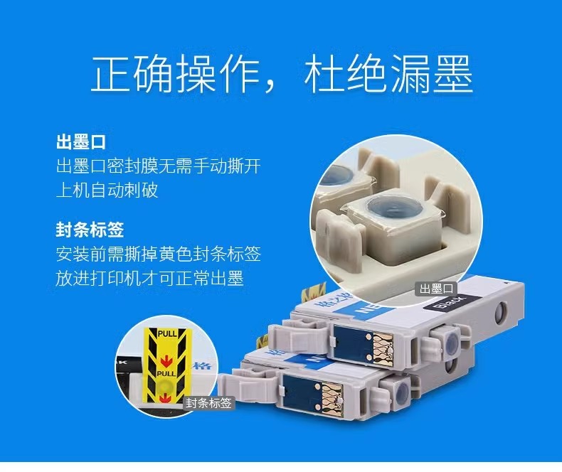 格之格适用epson爱普生T0491黑色墨盒R210 R230 R310 R350 RX630喷墨打印机t0491-t0496 - 图0