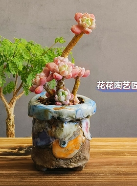 景德镇手工多肉花盆坛子姐山石多肉花盆老桩拇指粗陶透水透气异形
