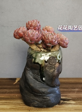 景德镇手工多肉花盆漂亮的花盆手捏异形孤品老桩仙人球块根花盆