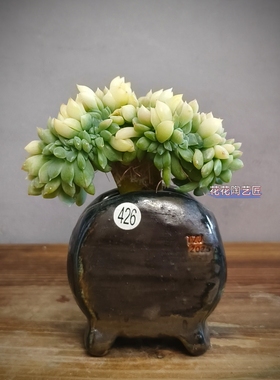 景德镇手工多肉花盆坛子姐拇指小鼓盆粗陶复古陶土花盆小老桩盆栽