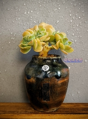 景德镇手工多肉花盆坛子姐梅瓶小罐子粗陶复古油画陶土小老桩花盆