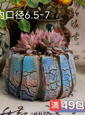 景德镇手工多肉花盆坛子姐多肉花盆南瓜盆爆裂圆口彩色粗陶透气