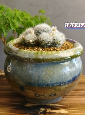 景德镇手工多肉花盆坛子姐花盆粗陶小罐手工拉坯透气控型复古流釉