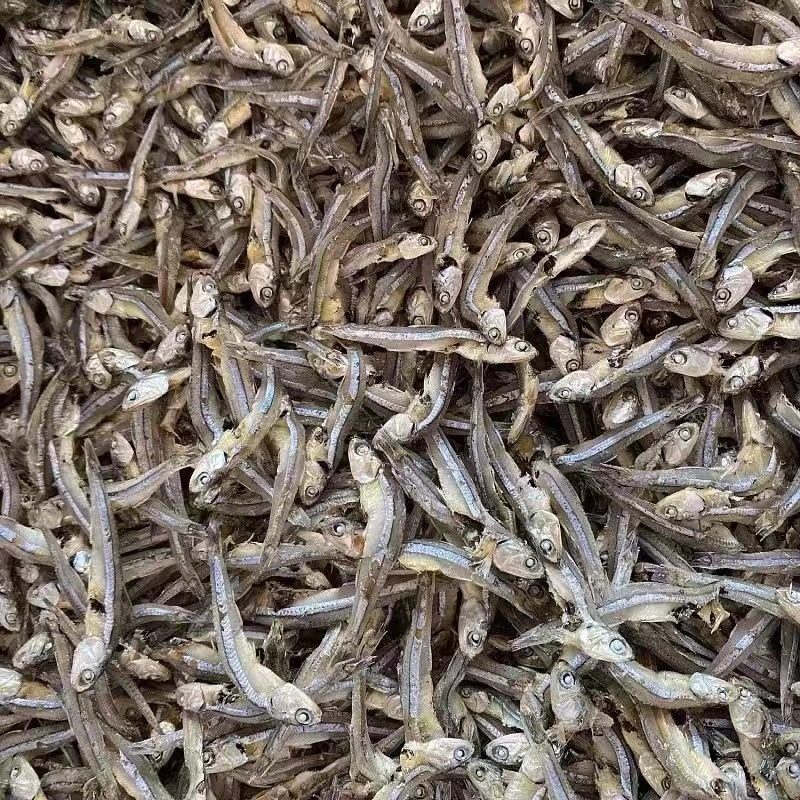小鱼干即食海燕鱼丁香鱼小鱼仔银鱼干无添加淡干无盐野生小鱼干货,淘宝优惠券,粉丝福利购,淘宝优惠卷