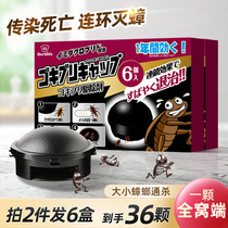 Japan Killing Cockroach Drug Home indoor full nest end Non-non-toxic Bait Cockroach Gram Stars Except Cockroach Bait Bait Little Black House