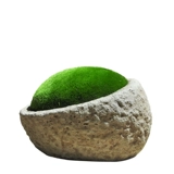 Мотовой ландшафт Моторный ландшафт Танк Бонсай поставил свежие мохи DIY Творческие растения Суд творческих растений