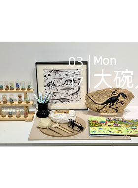 样板间装修设计恐龙化石套装