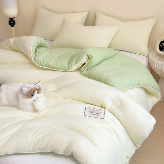 Super soft knitted cotton soybean quilt core for all seasons student dormitory warm winter quilt single double spring and autumn quilt