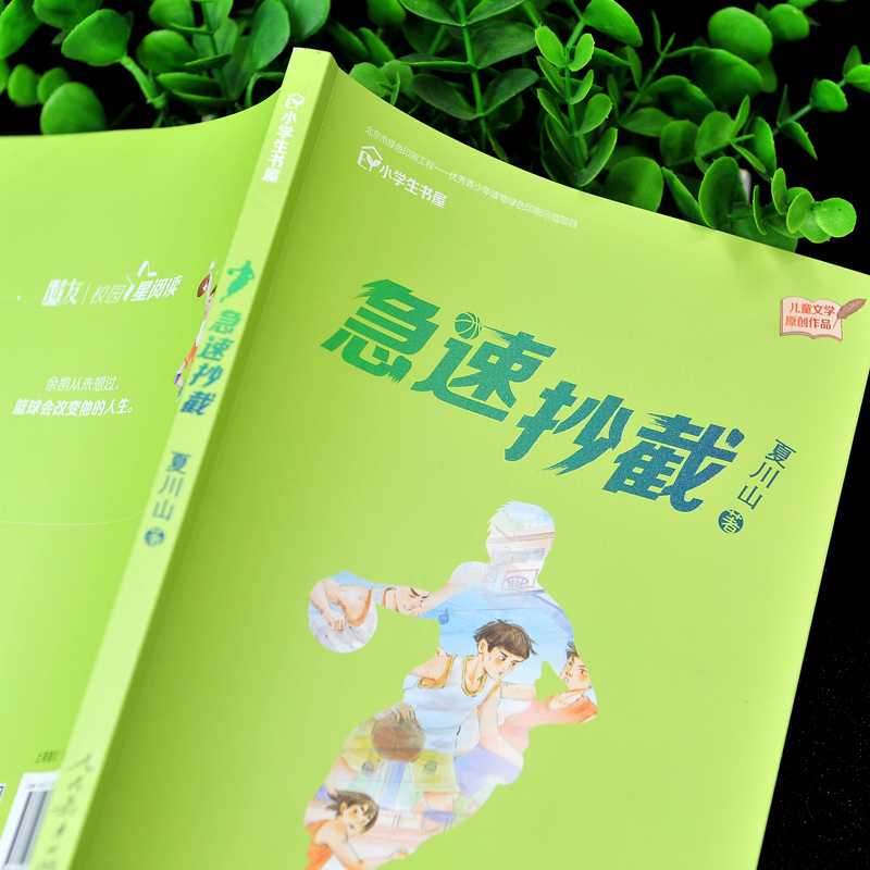 现货急速抄截夏川山人民教育出版社人教版儿童6-12周岁小学生一二三四五六年级课外阅读经典文学故事书目-图0