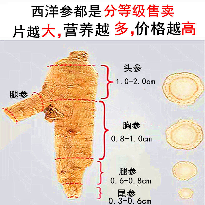 西洋参加拿大切片人参片 今虹堂西洋参