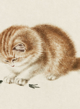 齐白石猫趣图国画斗方字画