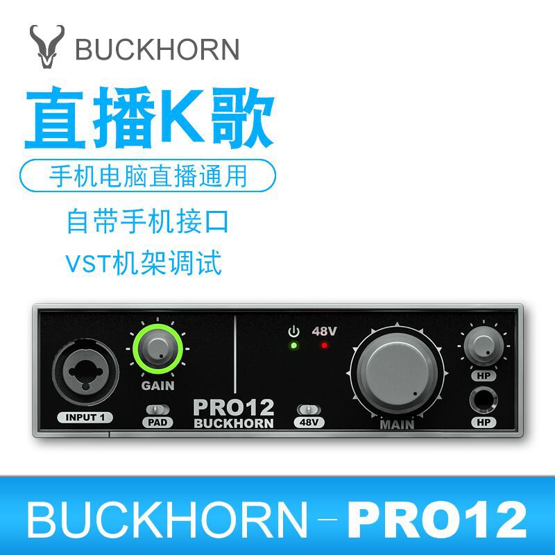 Buckhorn/跳羚PRO12外置声卡套装USB电脑录音K歌喊麦手机直播ASIO - 图1