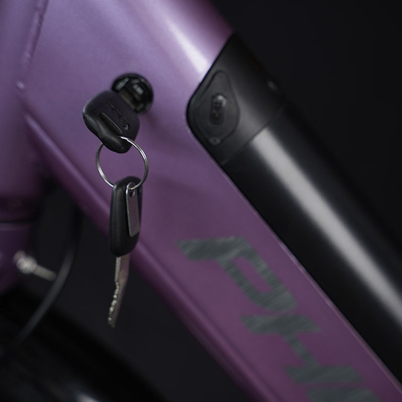 凤凰26寸电动车可取锂电池电动助力自行车大车筐油碟力矩电动车,淘宝优惠券,粉丝福利购,淘宝优惠卷