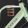 Phoenix LF electric bicycle coffee car male and female student electric bicycle 24/26 inch electric bicycle