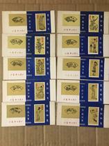 Ancient Swomens Six-On Match 10 * 1