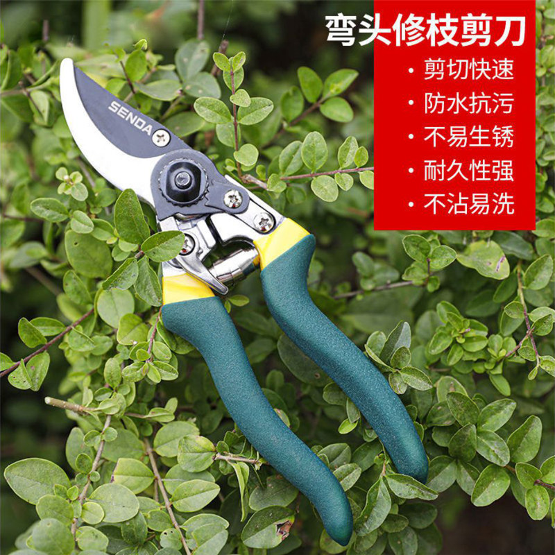 SD/胜达工具 树枝剪 园林剪/修枝剪/园艺剪刀 采果工具剪 粗枝剪_虎窝淘