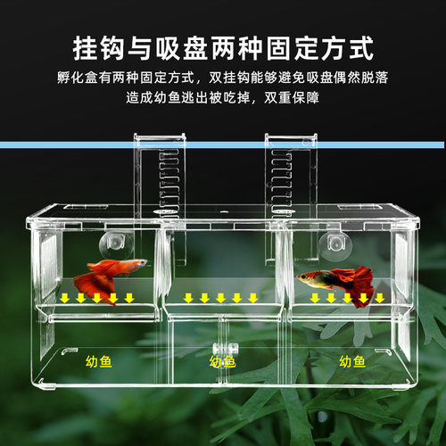 鱼缸隔离盒孔雀鱼繁殖盒神器小鱼苗孵化母鱼亚克力幼鱼凤尾产子箱 - 图0