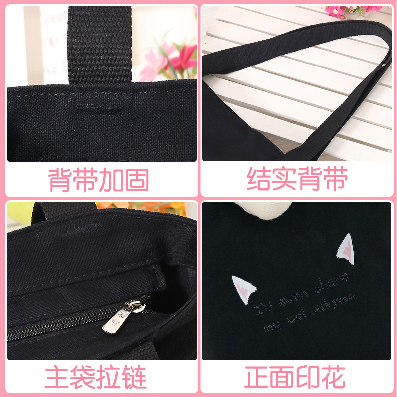 帆布包女学生拎书斜挎包包单肩包 合肥雨凡箱包女士包袋