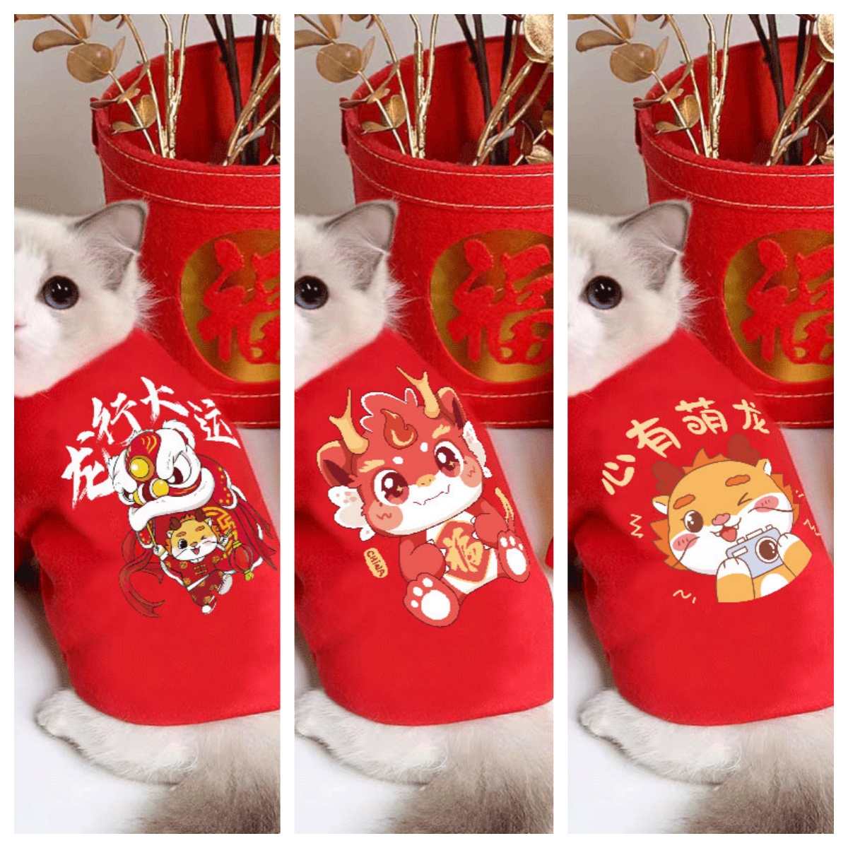 喜庆新年衣毛保冬季小狗狗布猫短泰熊物猫咪服防掉暖偶幼英迪比宠 - 图2