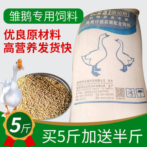 雏鹅小鹅饲料鹅全价颗粒饲料青年鹅大鹅饲料蛋白高鸟粮孔雀粮包邮 - 图0