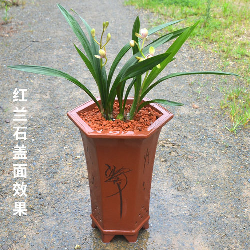 大包火烧土红土颗粒兰花植料红兰石多肉盆景铺面石大粗园艺珍珠岩 - 图2