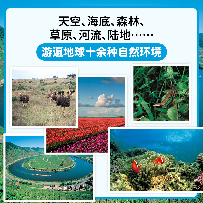 图 4