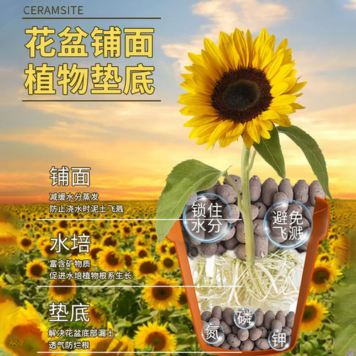 陶粒垫底养花专用花盆铺面卫生间回填材料彩色颗粒水培种花用陶粒 - 图0