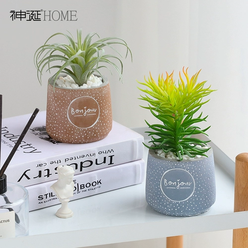 Северная симуляция Полихиграфия пальмот