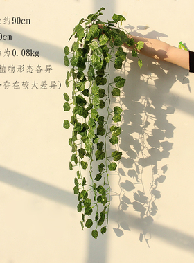 仿真花艺吊兰花绿萝室内墙上植物