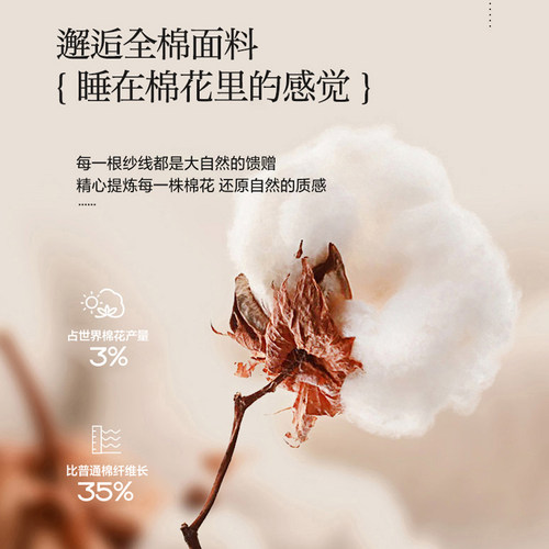 无印良品四件套纯棉全棉2026新款被套四季通用宿舍床单被罩三件套 - 图2