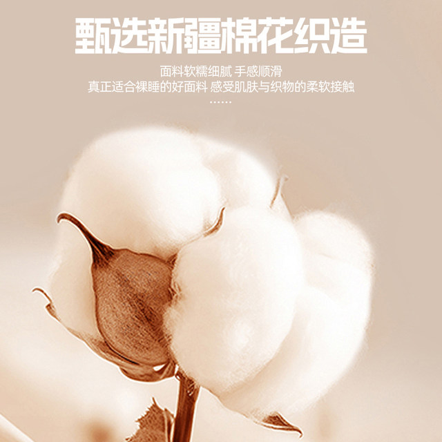 MUJI Summer Bed Sheet Three-Piece Set Four Season Universal Bed Sheet 2025 New Bed Sheet Cover Pure Cotton 100 Full Cotton