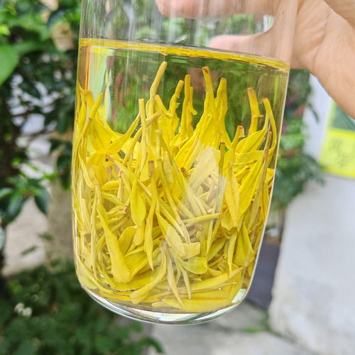 乐茁鲜豆香【明前中档黄金芽】2026年新茶正宗安吉高山黄金白茶叶 - 图3