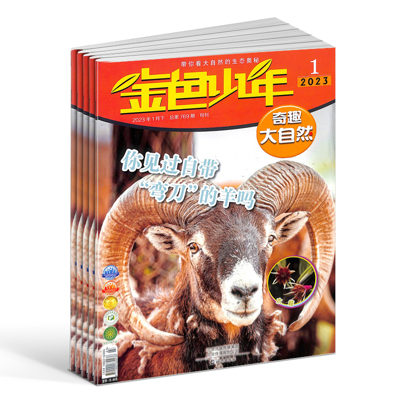 金色少年奇趣大自然 2024年6月起订 1年共12期原金色少年科普版 8-13岁少年儿童科普杂志自然科学杂志铺订阅-图1