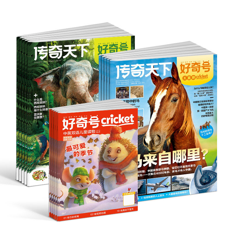 【全年预订】 好奇号杂志 2026年1月起订共12期 杂志铺 6-12岁小学生书籍非好气号万物阳光少年报淘秒