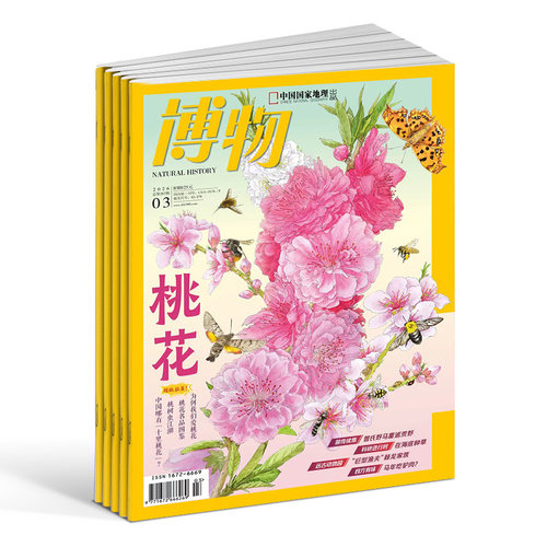 1-5月新【送好礼】博物杂志 2026/25/24半年/全年/季度/单期订阅杂志铺旗舰店远古动物园8-14岁中小学生自然科普百科期刊订阅 - 图0