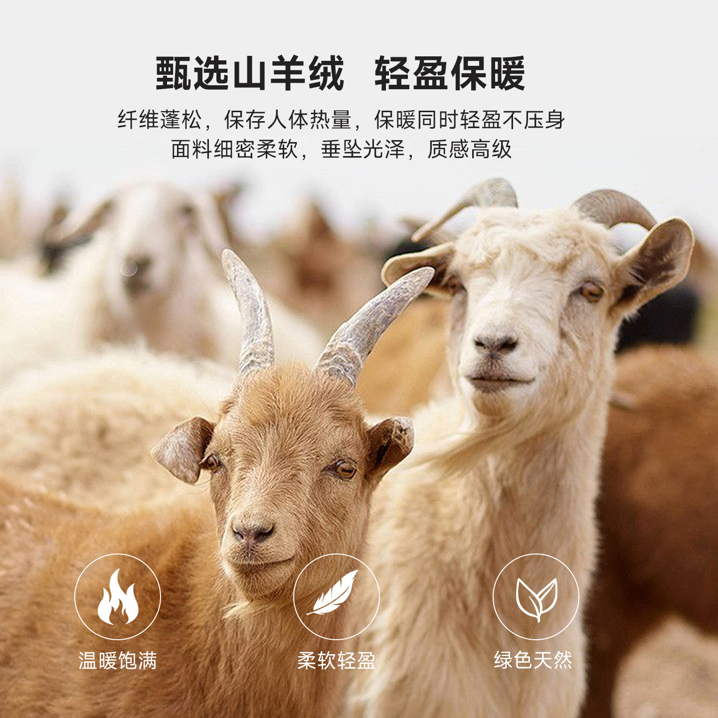 [470g纯山羊绒]梦特娇男士绞花针织打底衫重磅加厚冬季男装毛衣Z,淘宝优惠券,粉丝福利购,淘宝优惠卷