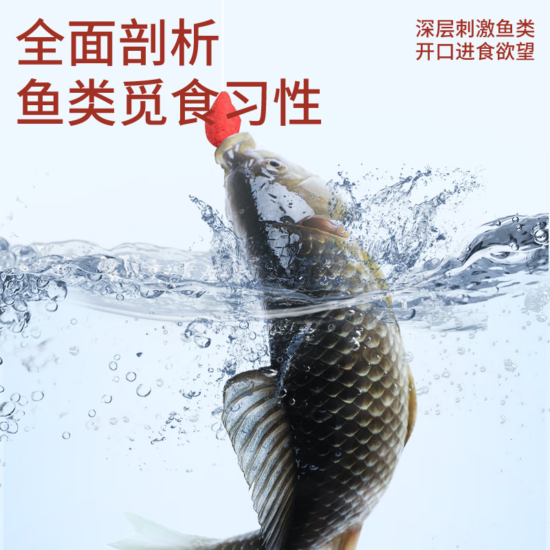 钧鱼新全能挂钩免拌钓鱼饵料四季通用腥香鲫鱼鲤鱼野钓黑坑垂钓饵-图2