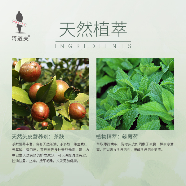 阿道夫旗舰店阿道夫茶麸冰护理控油蓬松祛屑止痒冰爽留香洗发水300ml *2 by1