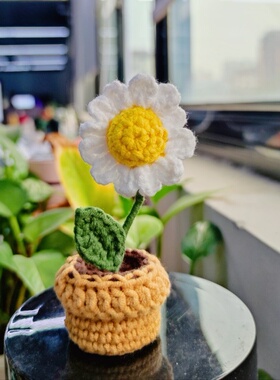 手工钩织迷你盆栽小花汽车装饰