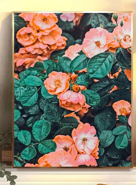 清新花朵系列2数字油画DIY手绘丙烯油彩治愈装饰画喷绘打印成品画