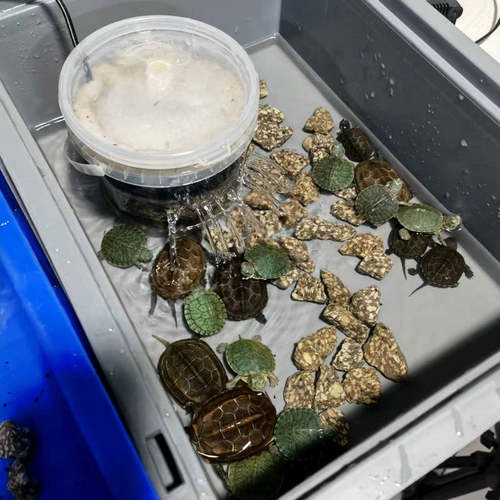 康卿龟用过滤器低水位过滤盒小号白色小鱼缸净化器潜水生化过滤泵 - 图2