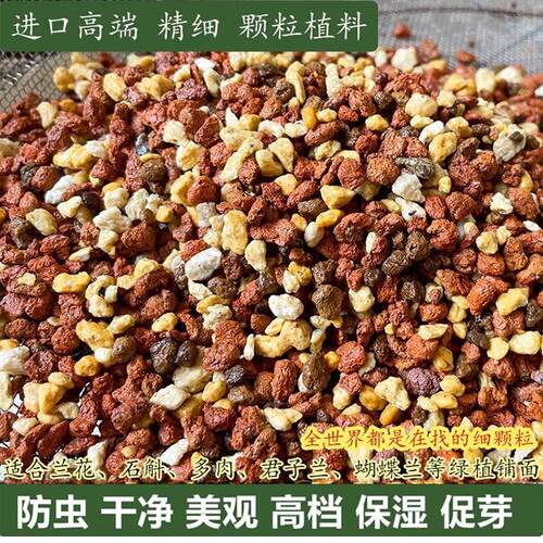兰花专用铺面石赤玉土植金石红土粒三合一多肉石斛护茎土兰花土 - 图0