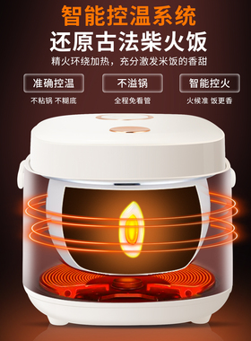 半球智能电饭煲家用小型1到2-3人