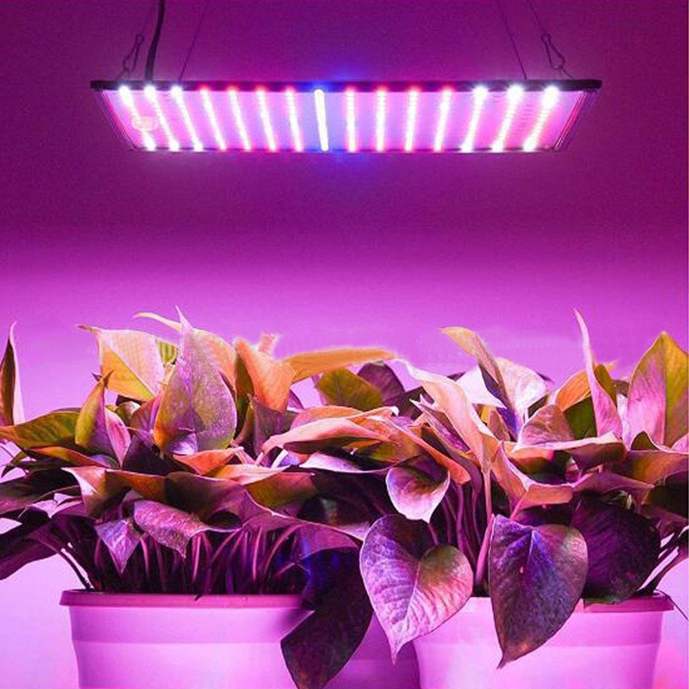 led植物生长灯温室大棚多肉花卉帐篷种植灯1000W植物补 光灯养花